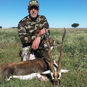 Argentina Blackbuck Hunt