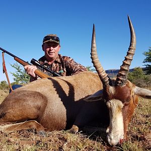 Hunting Blesbok South Africa