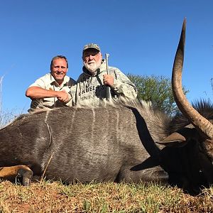 Nyala Hunt South Africa