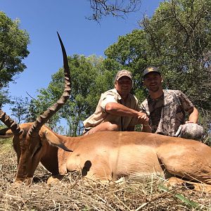 Hunting Impala South Africa