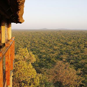 Lodge South Africa Hunting