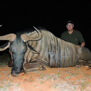 South Africa Blue Wildebeest Hunting