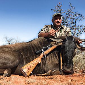 South Africa Blue Wildebeest Hunting