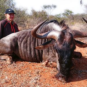 South Africa Blue Wildebeest Hunting