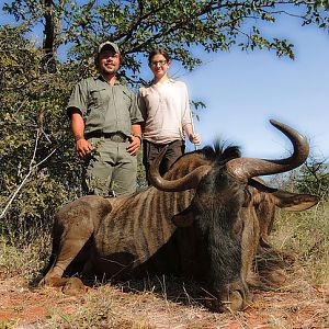 South Africa Blue Wildebeest Hunting