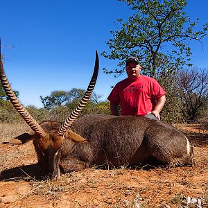 Waterbuck South Africa Hunt