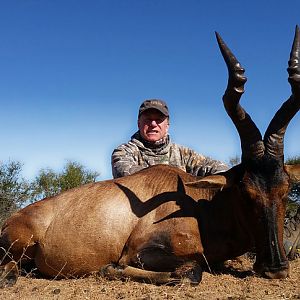 Red Hartebeest Hunt South Africa