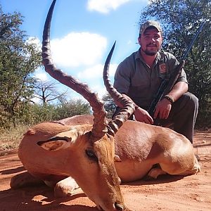 Hunting Impala South Africa