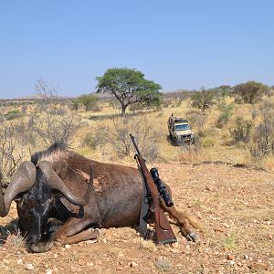 Hunt Black Wildebeest in Namibia