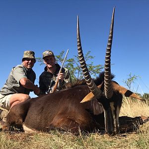 Sable Antelope Hunting South Africa