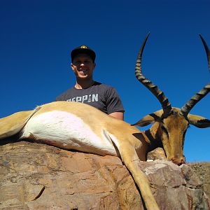 Hunting Impala South Africa