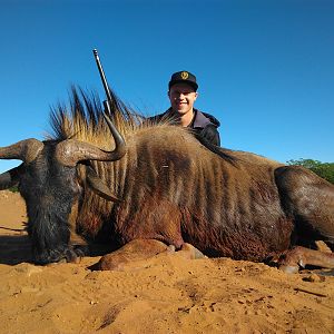 Hunt Blue Wildebeest South Africa