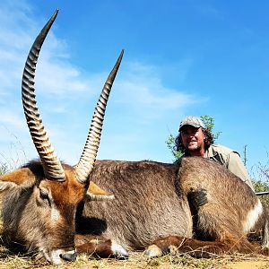 Waterbuck South Africa Hunt