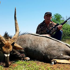 Nyala Hunt South Africa