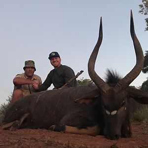 Nyala Hunt South Africa