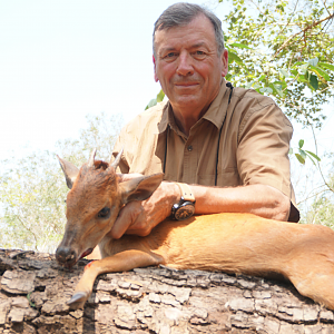 Mozambique Red Duiker