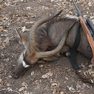 Free Range Mozambique Nyala