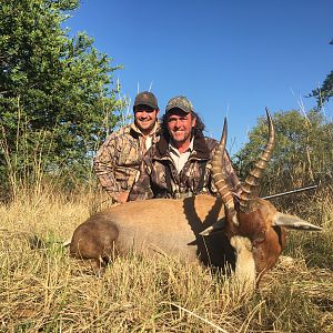 Hunting Blesbok South Africa