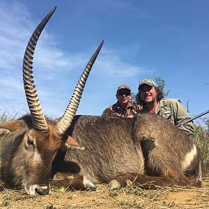 Waterbuck South Africa Hunt