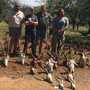 South Africa Trophy Hunt