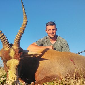 Hunting Blesbok South Africa