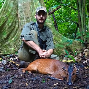 Hunt Congo Black Fronted Duiker