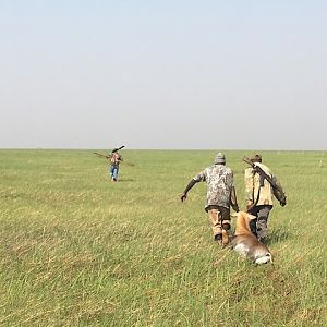 Lechwe Hunting