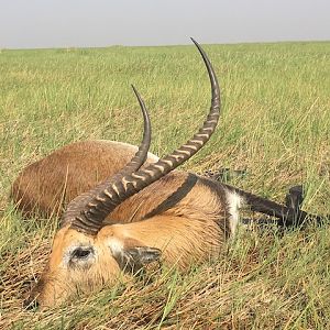 Lechwe Hunt