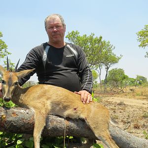 Duiker Zambia Hunting