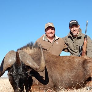 Hunt Black Wildebeest South Africa