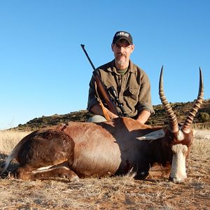 Hunting Blesbok South Africa