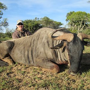 South Africa Blue Wildebeest Hunting