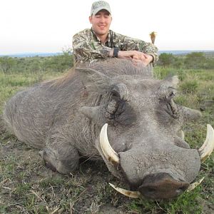 South Africa Warthog Hunt