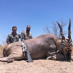 Botswana Hunting Eland 45.5 in