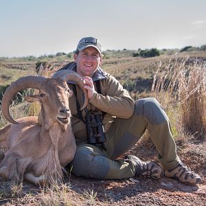 Hunting Aoudad in Texas