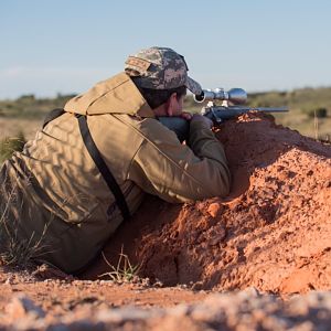 Texas Hunting Aoudad