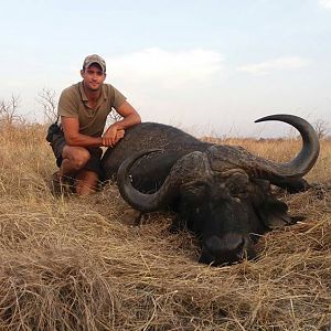 Cape Buffalo Hunt