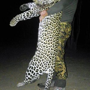 Leopard Hunt