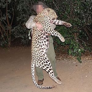 Leopard Hunt