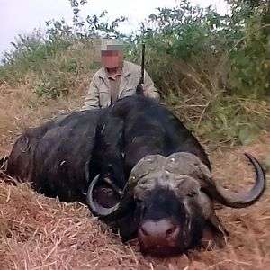 Zimbabwe Hunt Cape Buffalo