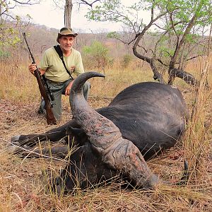 Cape Buffalo Hunt in Zambia