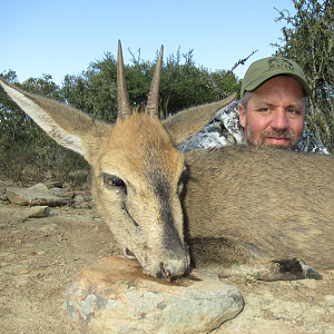 Hunting Duiker