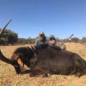 Hunt Sable Antelope in  South Africa