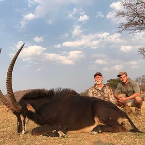 Hunt Sable Antelope in South Africa