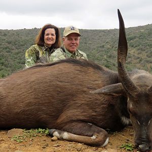 Cape Bushbuck, Kwa Zulu Natal