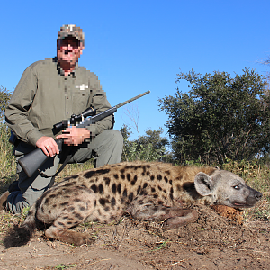 caprivi hyena