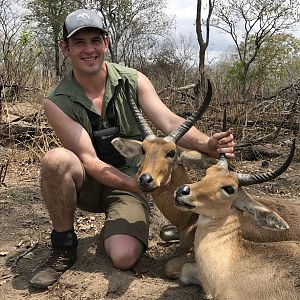 Mozambique Hunt Reedbuck