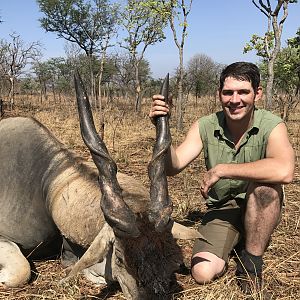 Hunting Eland in Mozambique