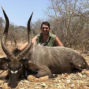 Nyala Hunt Mozambique