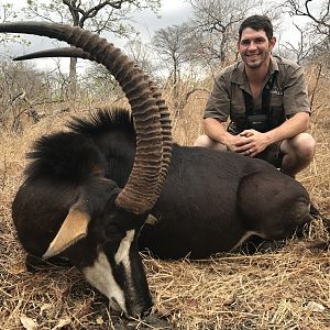 Sable Hunting in Mozambique